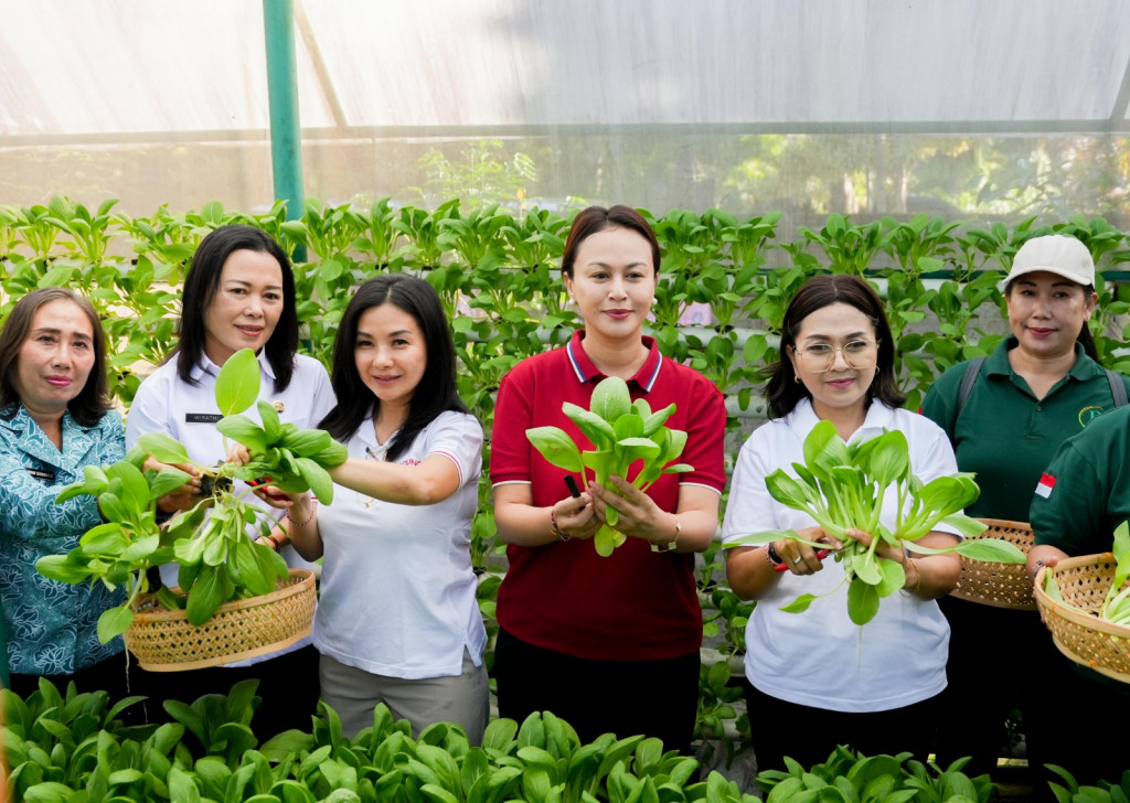 TP. PKK Badung Panen Sayur Pokcoy Hidroponik